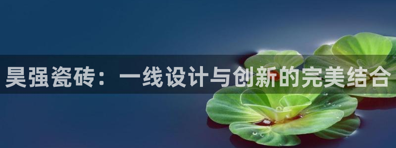 华润娱乐招商