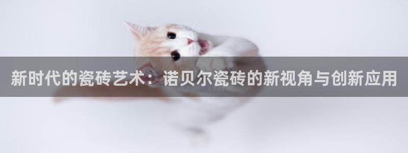 华润的娱乐项目